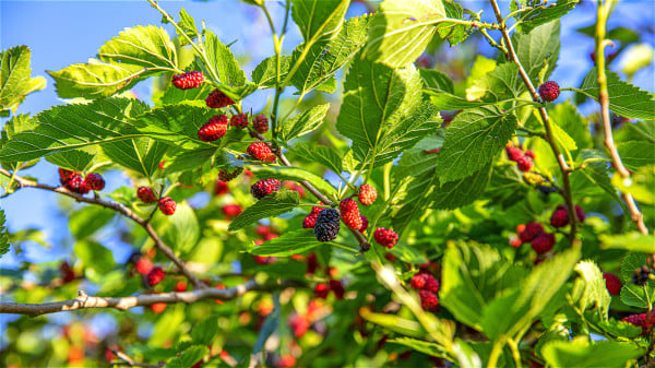 20251104_17622975636605