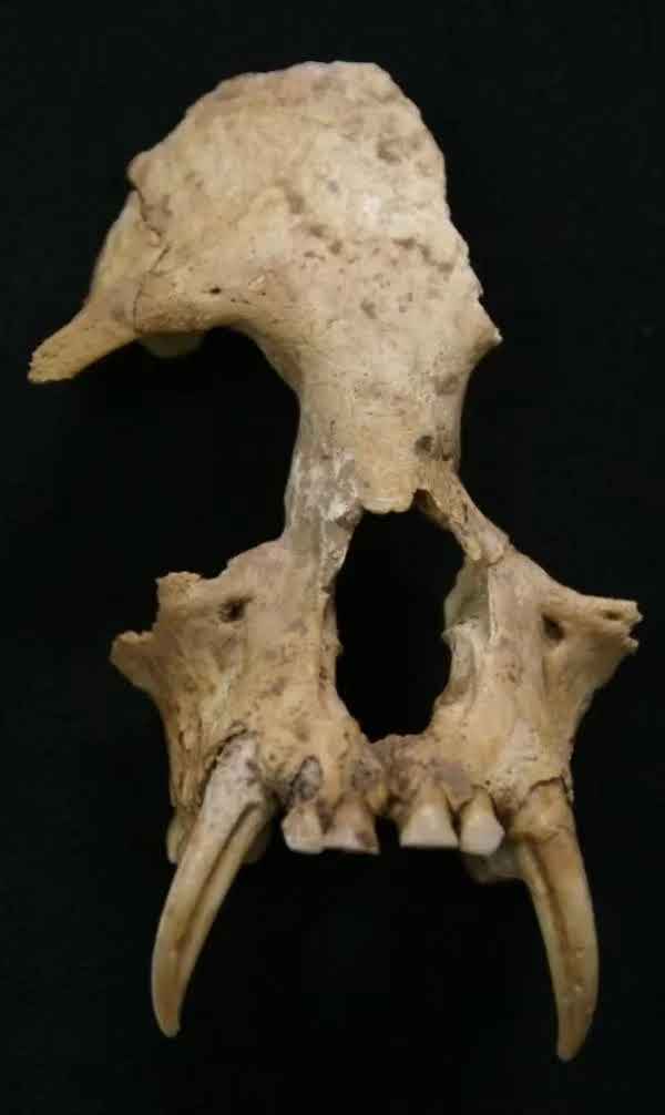 20251108_17626712181968 20251108_17626712181968